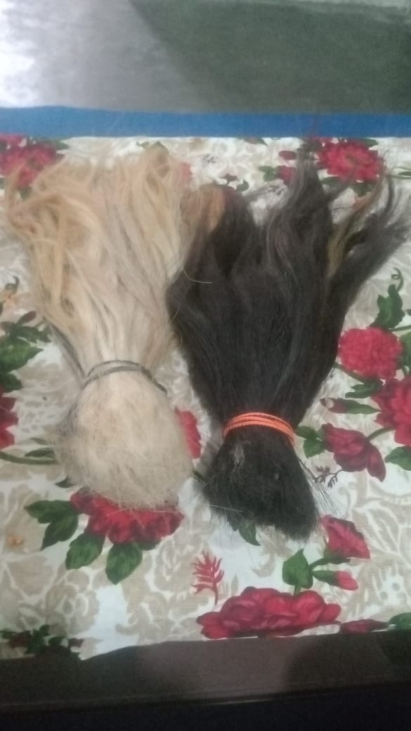 Type 1 - Buffalo Brushes